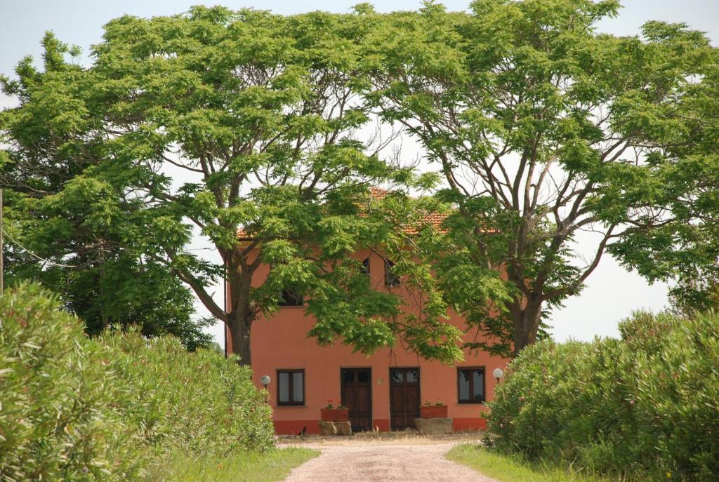 Agriturismo Le Coccinelle Guest House Magliano in Toscana Luaran gambar