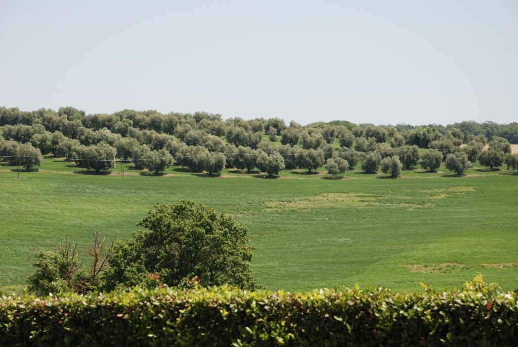 Agriturismo Le Coccinelle Guest House Magliano in Toscana Luaran gambar