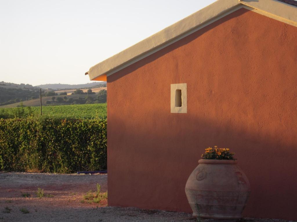 Agriturismo Le Coccinelle Guest House Magliano in Toscana Luaran gambar