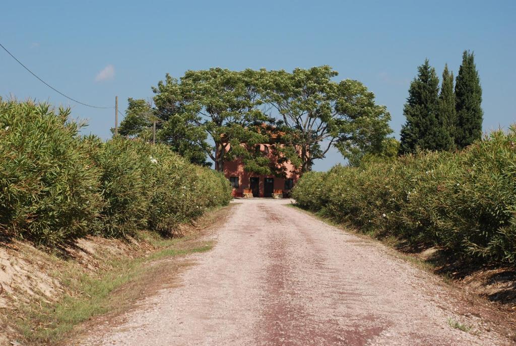 Agriturismo Le Coccinelle Guest House Magliano in Toscana Luaran gambar