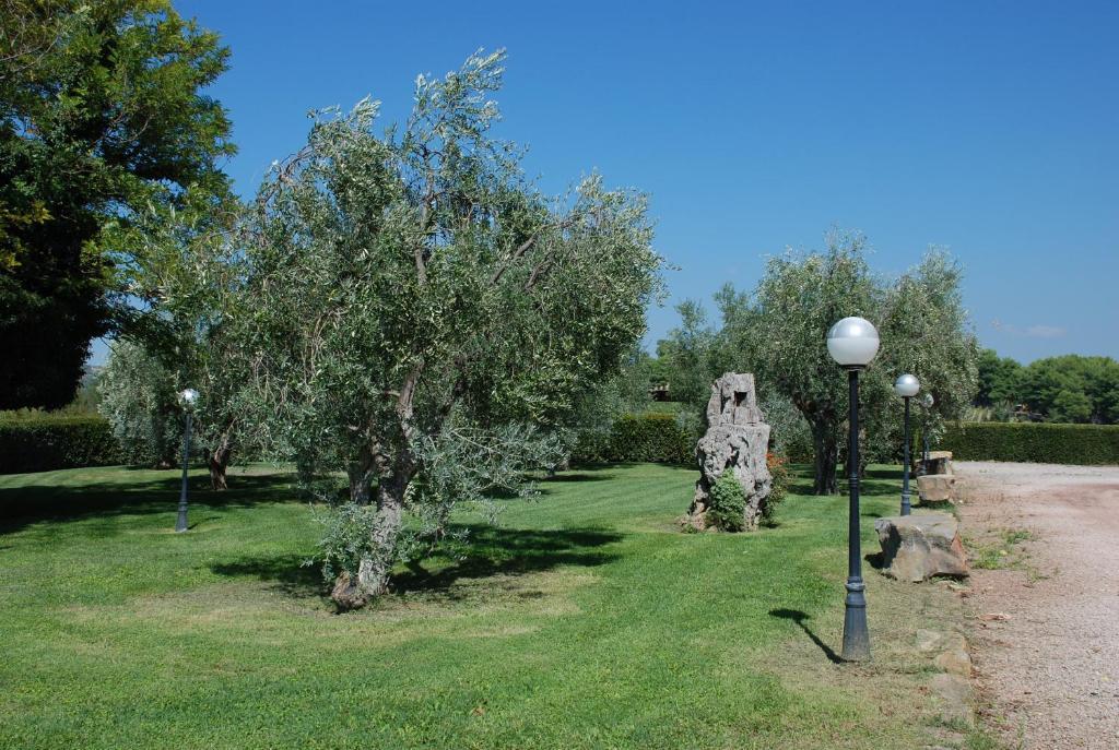 Agriturismo Le Coccinelle Guest House Magliano in Toscana Luaran gambar