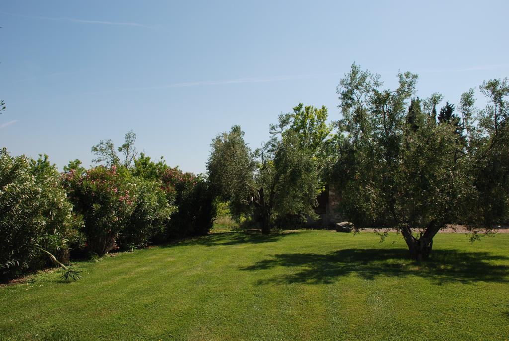 Agriturismo Le Coccinelle Guest House Magliano in Toscana Luaran gambar